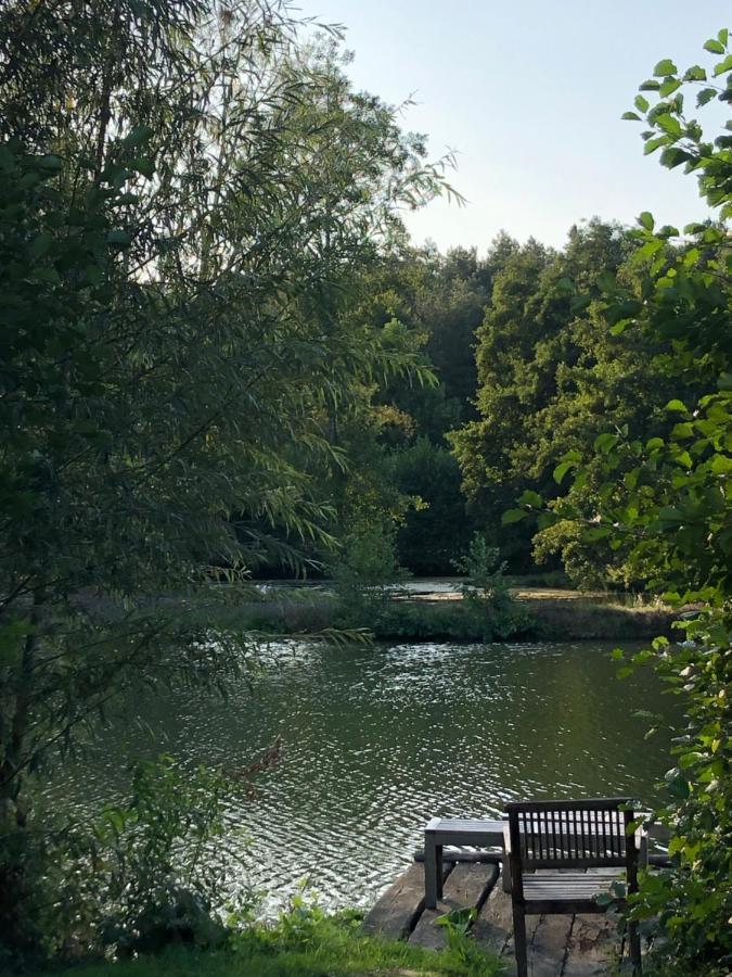 La Francoisiere Panzió Loigné-sur-Mayenne Kültér fotó